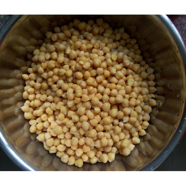 Buy Canned Chick Peas Garbanzo In Brine 425g, 567g, 800g at wholesale prices