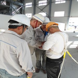 Modular Steel Frame Building Construction Industrial Prefabricated Metal