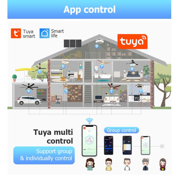 Support Dimmer 52 Inch/OEM 110-220V Nordic Popular Sale ABS Ceiling Fan with DC Motor