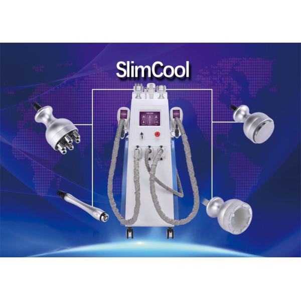 Buy Multi Functional Fat Freeze Cryolipolysis Treatment Machine With Touch Screen at wholesale prices