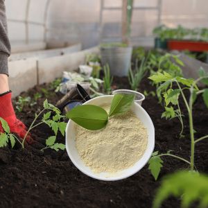 Quality Organic Fertilizer Amino Acid Chelated Zinc Micronutrients for sale