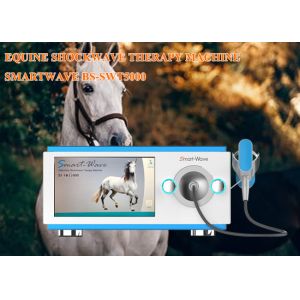 Quality Professional Physiotherapy Radial Shockwave Therapy Machine Equine Shock Wave Equipment for sale