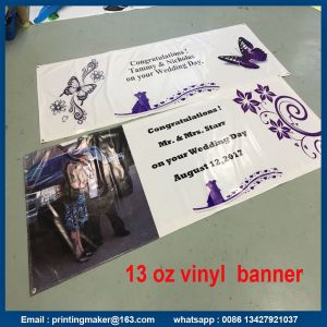 Advertisement High Resolution Vinyl Plastic Banner Signs for Business