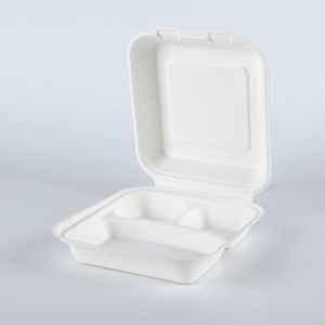 Disposable Food Packaging Pulp Sushi Biodegradable Tableware of Sugarcane