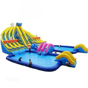 Water Slide Commercial Customized Large Hippo Inflatable Water Slide With Pool