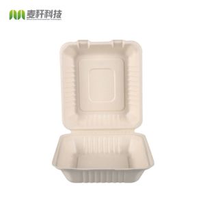 Takeaway box biodegradable disposable food container 600ML lunch box