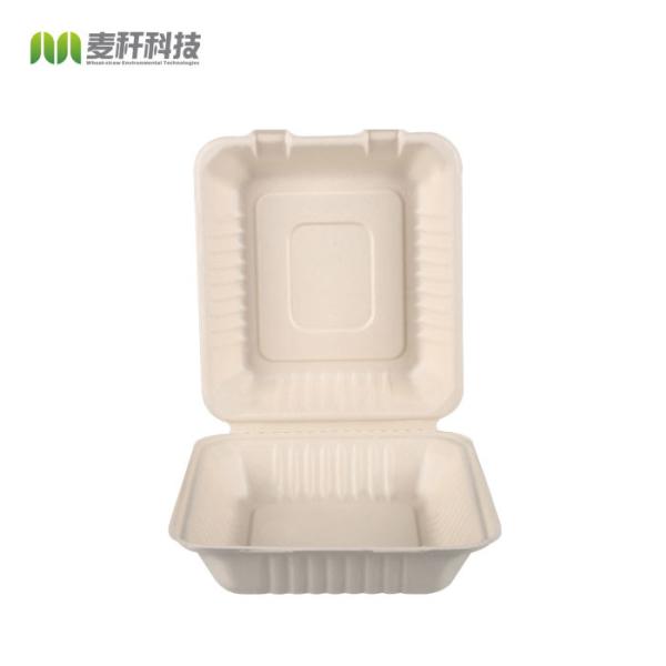 8inch Clamshell Biodegradable Packaging Bagasse Food Container Disposable