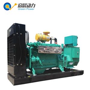 10-1000KW Biogas Generator Set