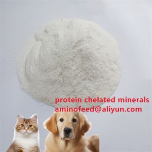 Improve Feed Efficiency And Immunity With Manganese Proteinate 20% For All