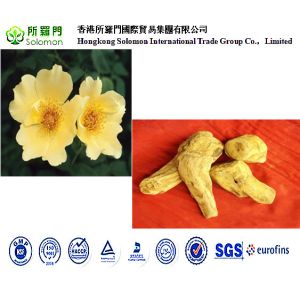 rhubarb extract Anthraquinones10% Emodin 5% --rhubarb pieplant,Rheum officinale