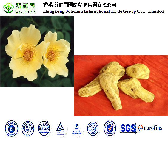 rhubarb extract Anthraquinones10% Emodin 5% --rhubarb pieplant,Rheum officinale