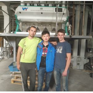 Nuts Almond Raisin Color Sorter Mini Color Sorting Machine With CCD Sensor