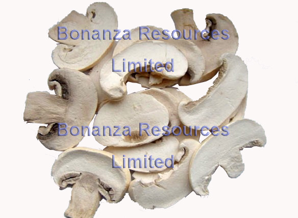 Buy Freeze Dried Button Mushroom Chips at wholesale prices