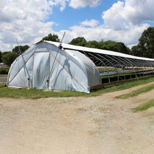 10m*100m Hydroponic Light Deprivation Greenhouse For Hemp Growing