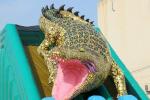 Durable Huge Inflatable Slide King Crocodile Dual Slide Eco - Friendly Wss-259