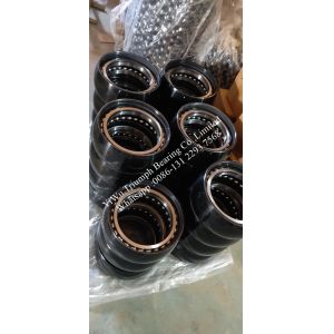 Concrete Mixer Truck Bearing CPM 2513 CPM2513