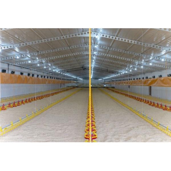Buy Automatic Feeding Chicken Nipple Drinker System Ground Breeding at wholesale prices