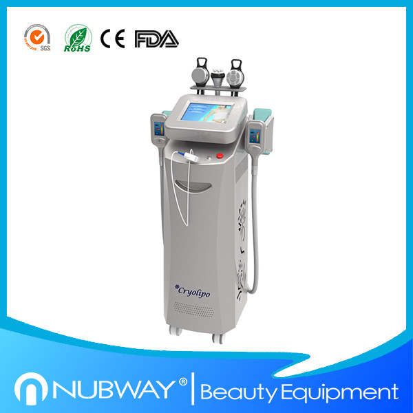 Buy 2014 Best cryolipolysis for beauty salon use / latest cryolipolysis machine at wholesale prices