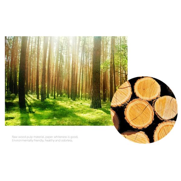 700 x 1000mm 157gr 200gr 250gr Glossy Coated Couche Paper Sheet For Calendar 700 x 1000mm 157gr 200gr 250gr Glossy Coated Couche Paper Sheet For Calendar