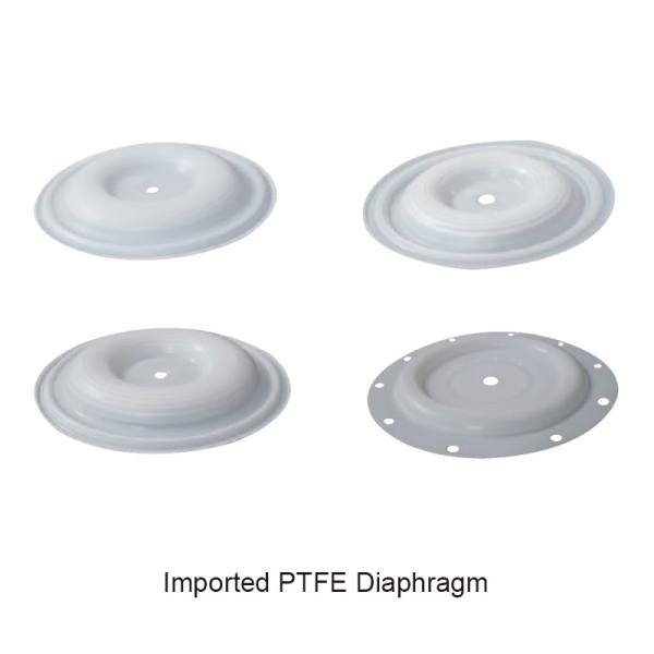 Buy Ptfe Coated Diaphragm PTFE 3 Inch Diaphragm Pump Parts at wholesale prices