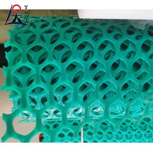 Plastic Extrude Flat Net Flexible Pe Poultry Flat Plastic Net