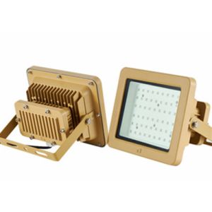 Gold 50w Led Expolsion Proof Flood Light WF2 Zone 1 And 2 Flame Proof Lights