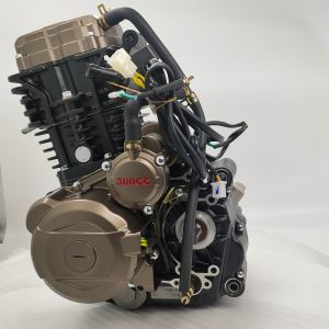 300cc Motorcycle Engine Assembly Single Cylinder Four Stroke Style
