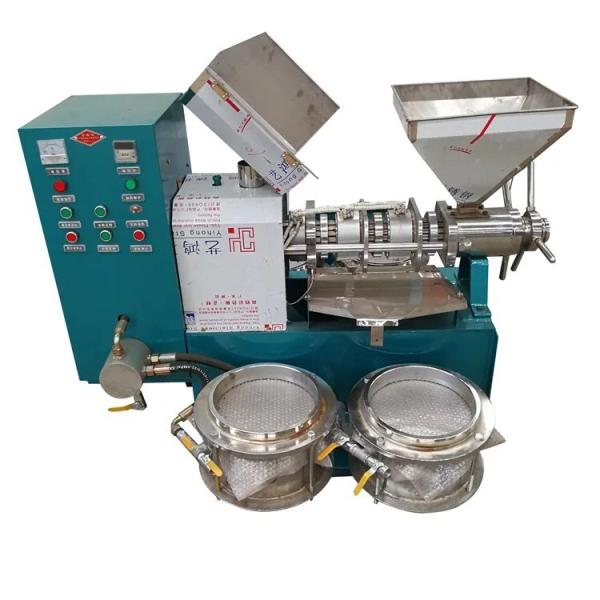 Buy screw press oil expeller price/palm kernel oil expeller/press machine at wholesale prices