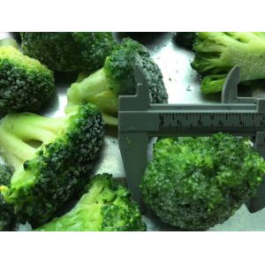 Healthy IQF Frozen Vegetables , Organic Individual Quick Freezing Broccoli
