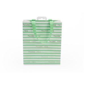 Green Eco Friendly Striped Paper Bags With Handles Glossy Lamination