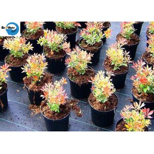 100GSM Geotextile Weed Control Ground Cover Fabric PP Woven Fabric