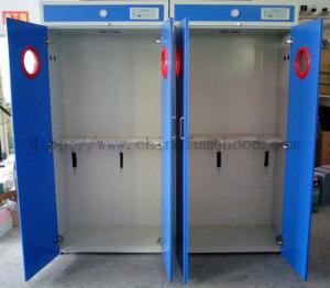Quality Alkali Resistant Flammable Gas Storage Cabinet Practical Multipurpose for sale