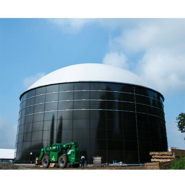 Buy Anaerobic Gas Extraction Biogas Digester Restaurant Kitchen Waste Treatment at wholesale prices