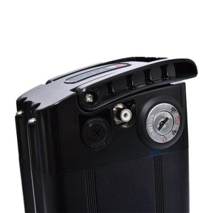 OEM ODM LiFePO4 Lithium Battery pack NMC NCM Customized E-Bike battery 36v 48v