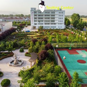 Fumigation Free Dehydrated Garlic Cloves Powder 120mesh