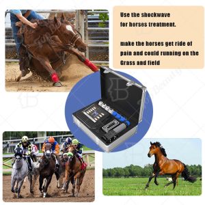 Mobile Shockwave Therapy Machine 80mj Vet Physical Therapy Equipments