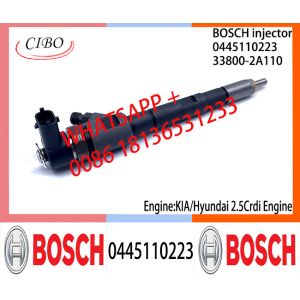 BOSCH Common fuel Injector 0445110186 0445110185 0445110222 0445110223 33800