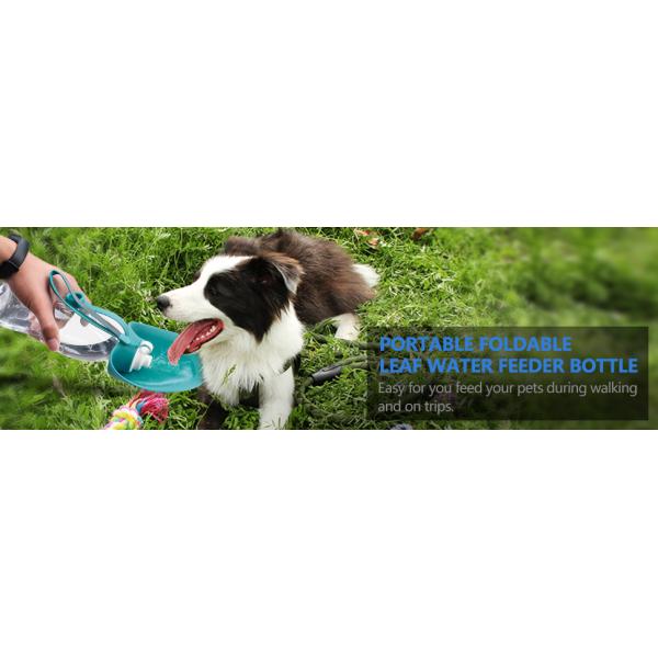 Portable Foldable Leaf Water Bottle