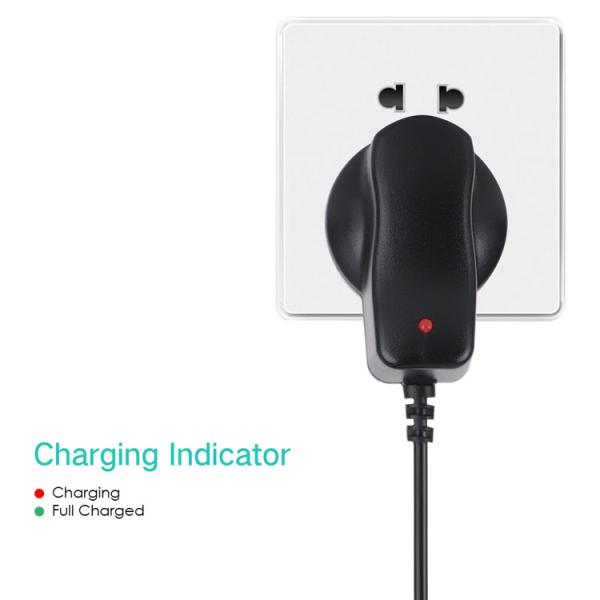 50g AC DC Wall Power Adapter 4.2V 1A Power Supply OEM / ODM