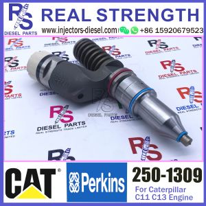 250-1309 Diesel Engine Fuel Injector 250-1309 294-3002 10R-3258 10R-6162 for