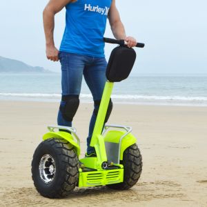 Quality 21 Inch Brushless Self Balancing Scooters Double Battery System Lithium Battery Electric Scooter for sale