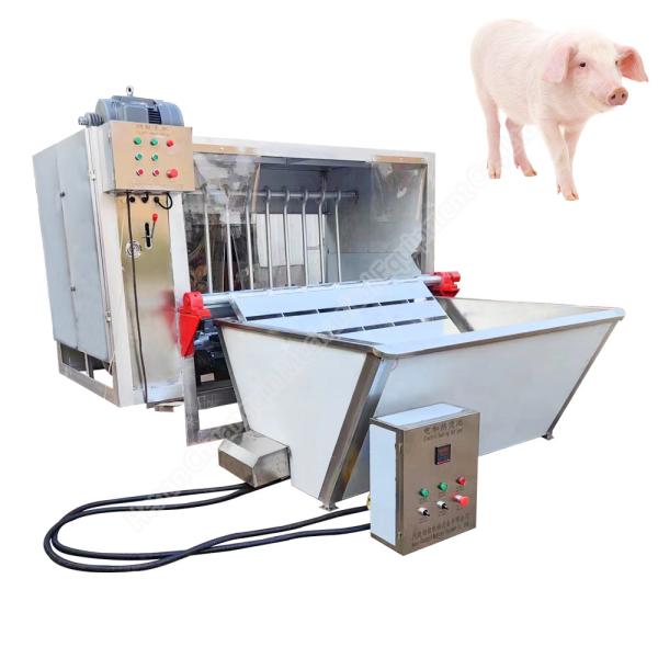Buy dehairing machine for pig pig scalding and dehairing machine pig slaughter at wholesale prices