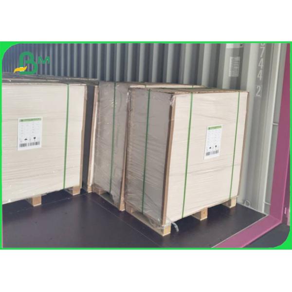 Color cardstock paper