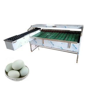 Egg Washer And Grader Egg Grader Machine Egg Grading Machine Sorter