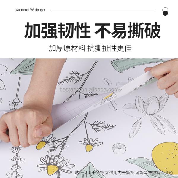 Removable Peel and Stick Wallpaper in Botanical Style for Tropical Plant Decor