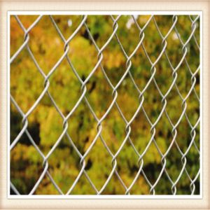 China chian wire fencing supplier ,chain wire fencing factory supply woven wire