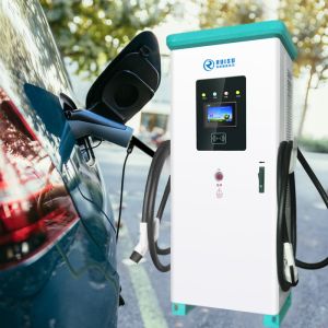 China Commercial Public 180kw EV Charger Fast Charging With Double Guns on sale