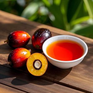 Good Quality Small Palm Fruit Oil Production Line Price Sunflower Coconut Oil