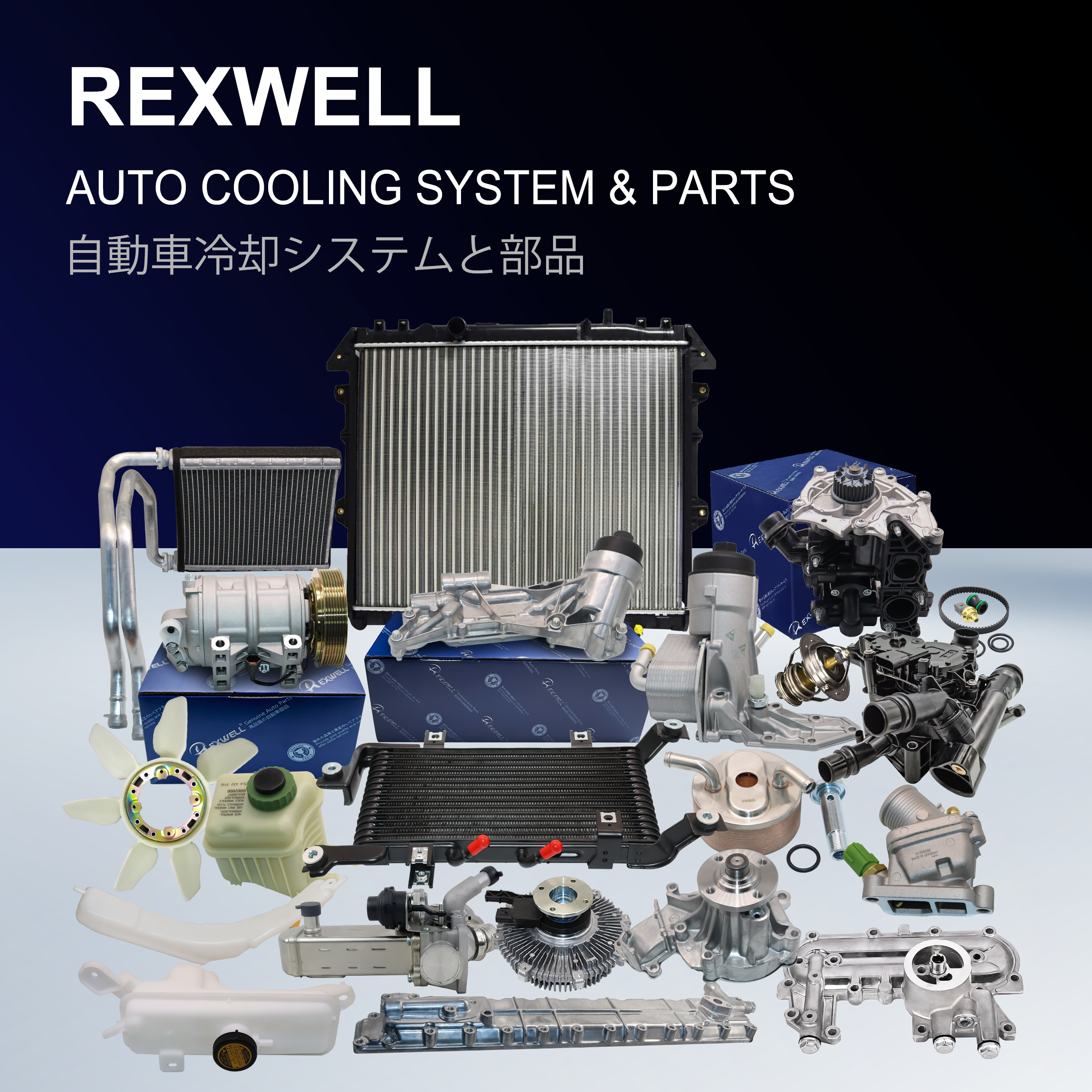 251002B710 25100-2B710 Engine Cooling Water Pump for Hyundai CEED RIO SORENTO