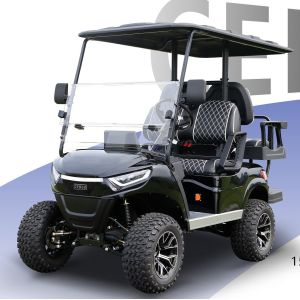 Equipped with Electromagnetic Parking System Private Mold Electric Lifted Golf